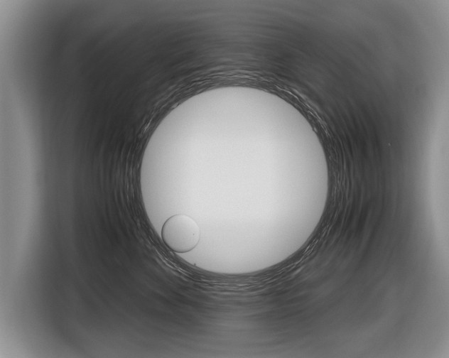 X0000116440524200912081355