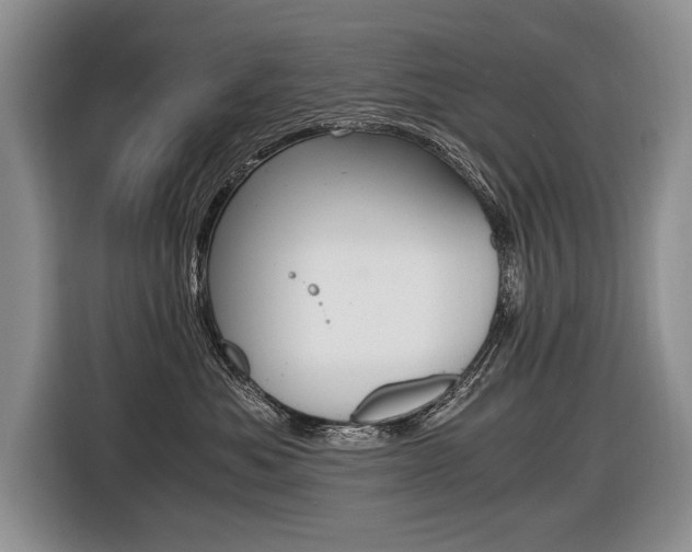 X0000116440525200912081355