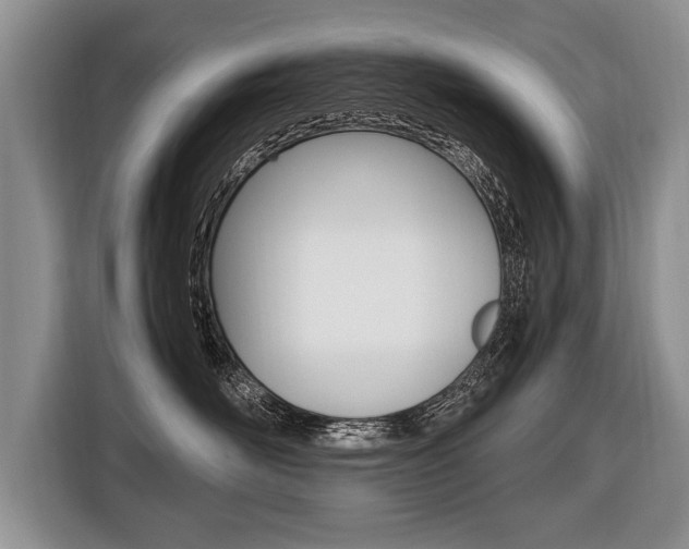 X0000116440526200912081355