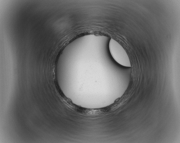 X0000116440527200912081355