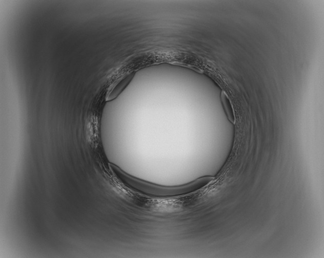 X0000116440528200912081355