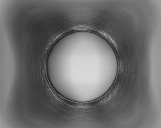 X0000116440529200912081354