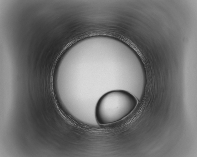 X0000116440530200912081354