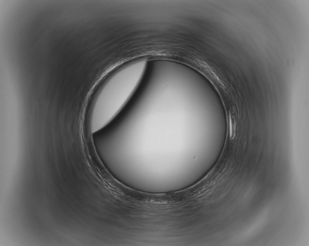X0000116440531200912081354