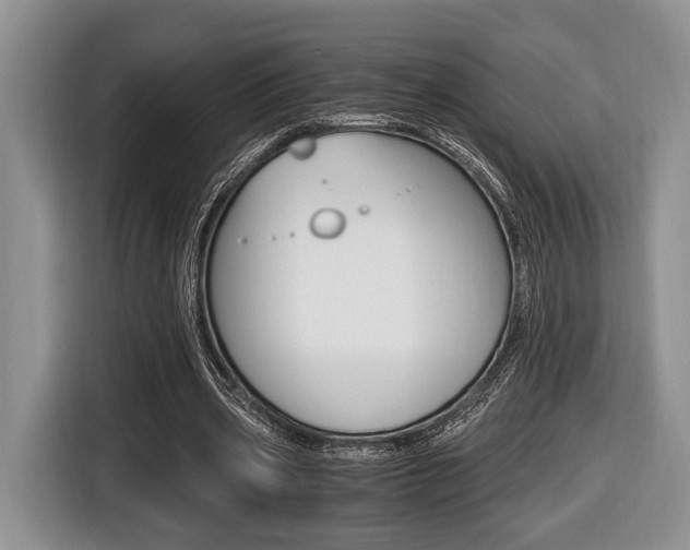 X0000116440533200912081354