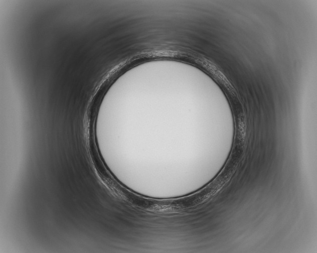 X0000116440534200912081355