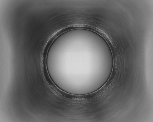 X0000116440535200912081355