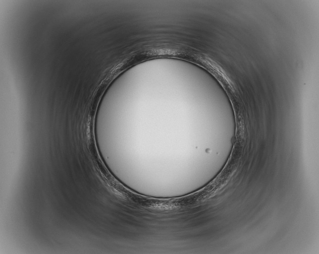 X0000116440537200912081355