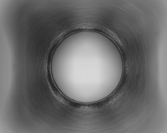 X0000116440538200912081355