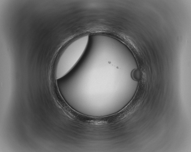 X0000116440539200912081355