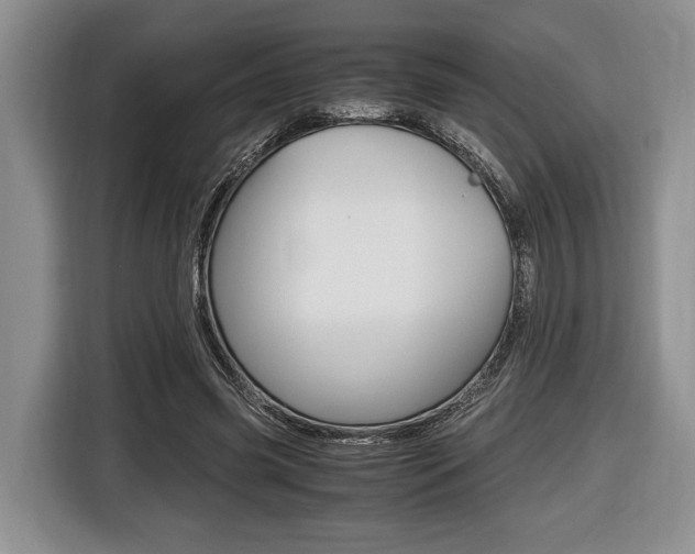 X0000116440541200912081355