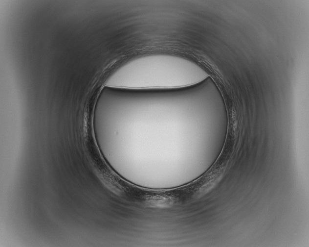 X0000116440542200912081355