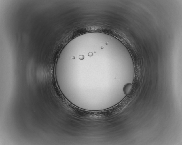 X0000116440545200912081355