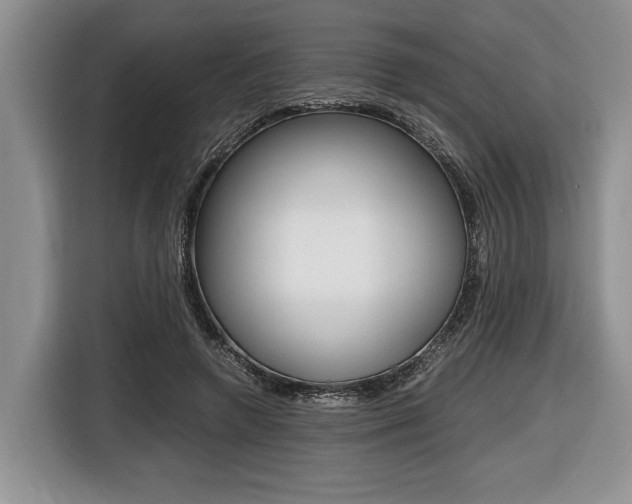 X0000116440546200912081355
