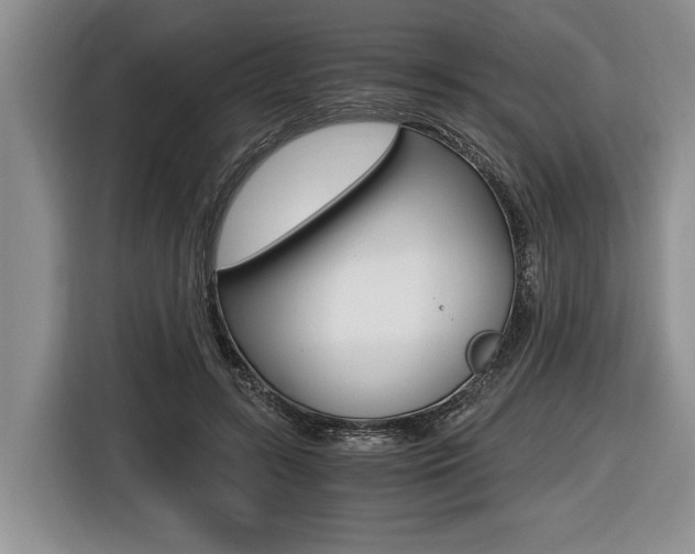 X0000116440547200912081355