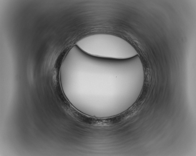 X0000116440550200912081355