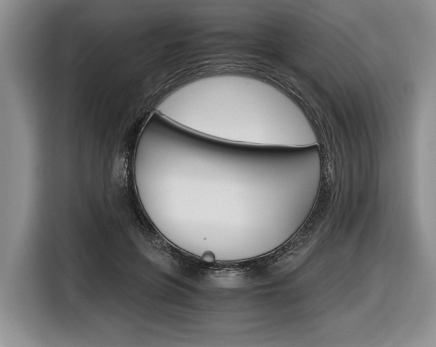 X0000116440551200912081355