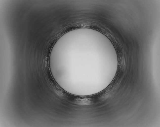 X0000116440553200912081355