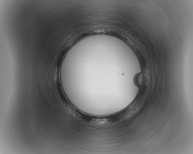 X0000116440554200912081355