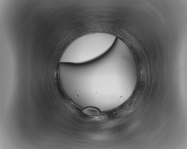 X0000116440555200912081355