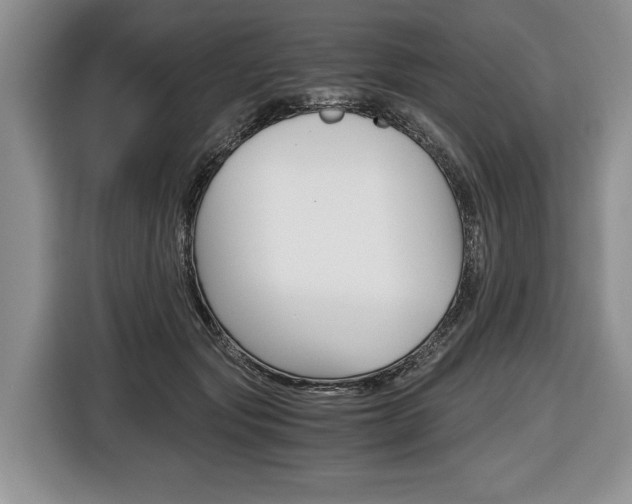 X0000116440557200912081355