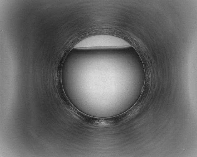 X0000116440558200912081355