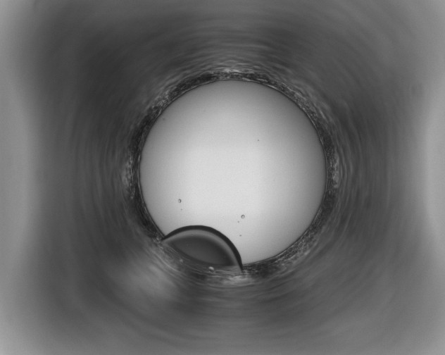 X0000116440559200912081355