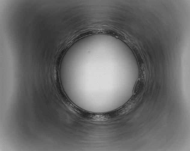 X0000116440562200912081355