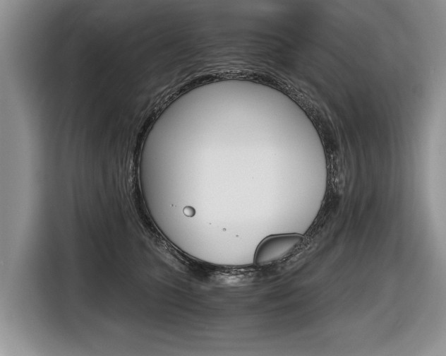 X0000116440563200912081355