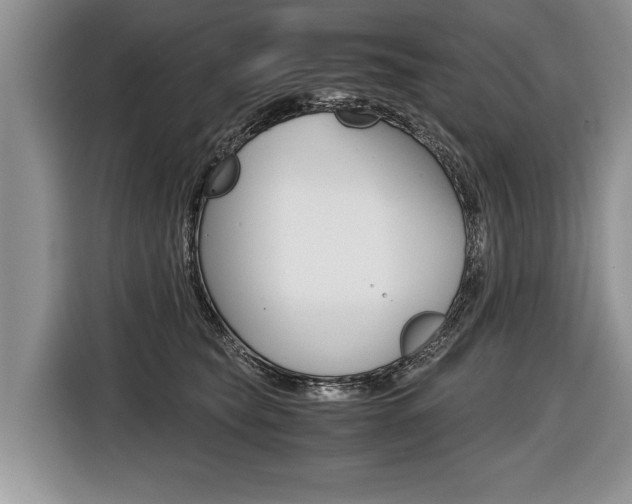 X0000116440565200912081355