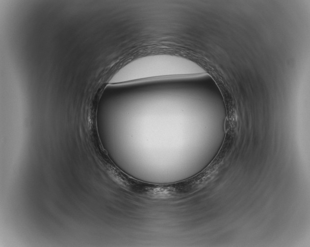 X0000116440566200912081355