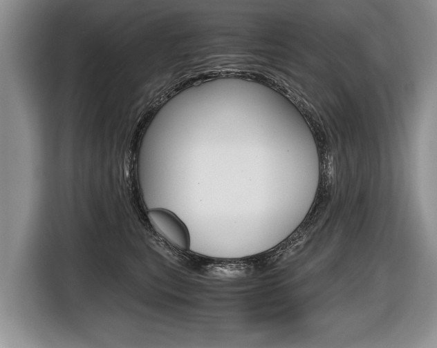 X0000116440567200912081355