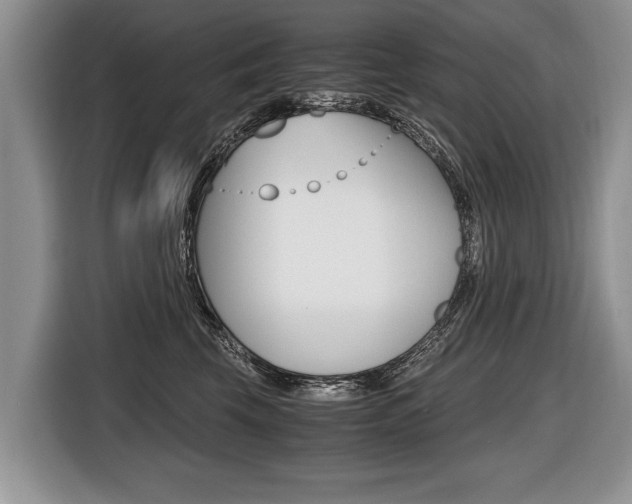 X0000116440569200912081355