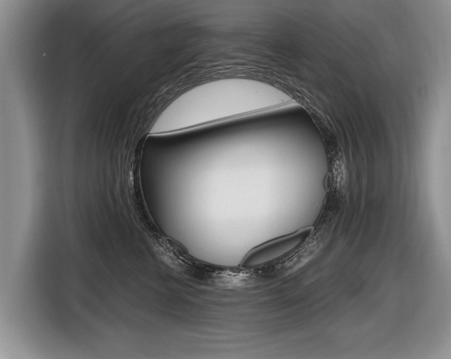 X0000116440570200912081355
