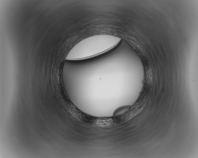 X0000116440571200912081355