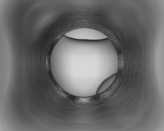 X0000116440573200912081355