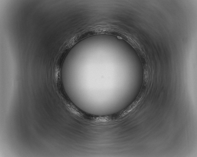 X0000116440574200912081355