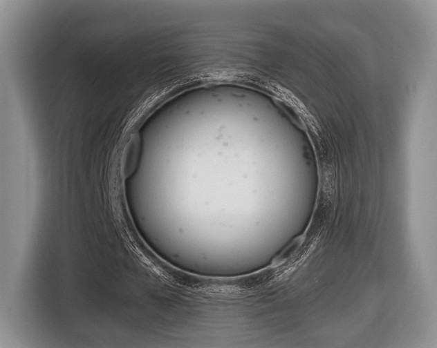 X0000116440577200912081354