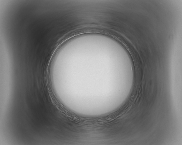 X0000116440579200912081354