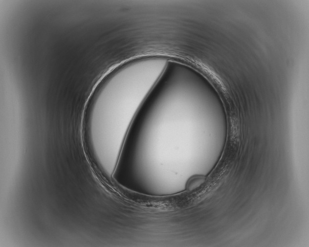 X0000116440580200912081354