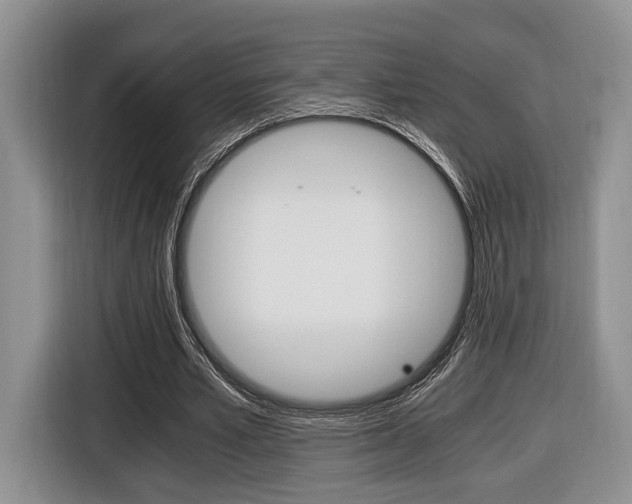 X0000116440581200912081354
