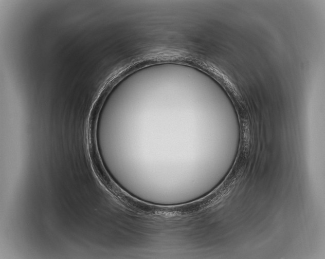 X0000116440582200912081354