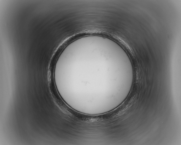 X0000116440584200912081354