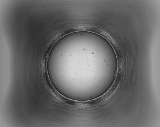 X0000116440585200912081354