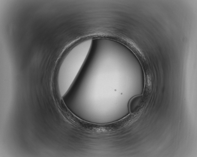 X0000116440588200912081354