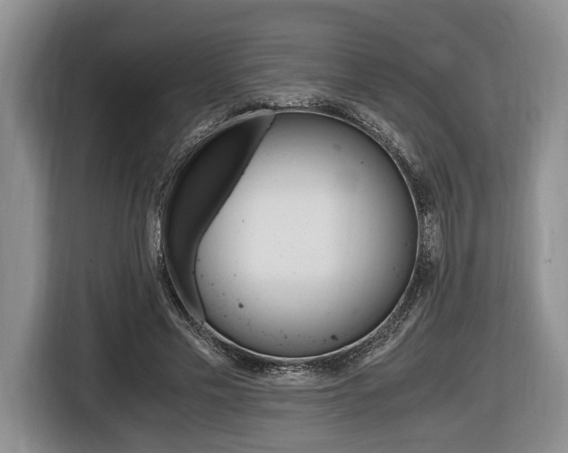 X0000116440589200912081354