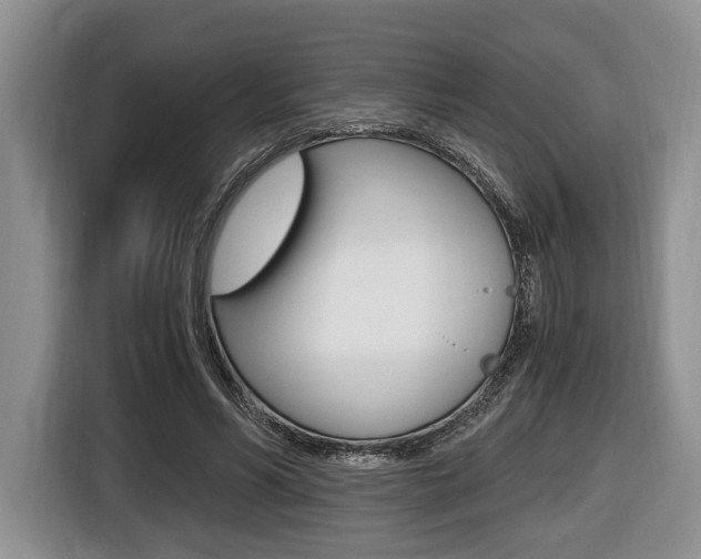 X0000116440590200912081354