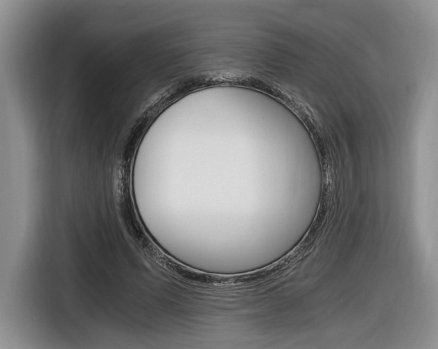 X0000116440591200912081354