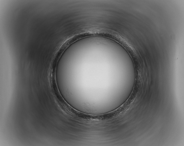 X0000116440592200912081354