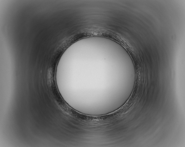 X0000116440594200912081354